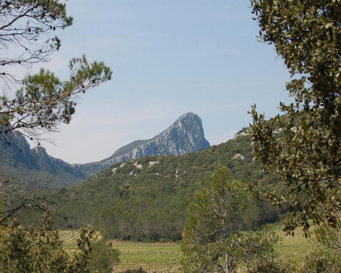 Domaine Du Bois Gite Marion Galargues Buitenkant foto